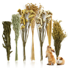 Lit de hamsters Sukh 47Pcs avec fleurs et herbes, décor naturel pour habitat confortable.