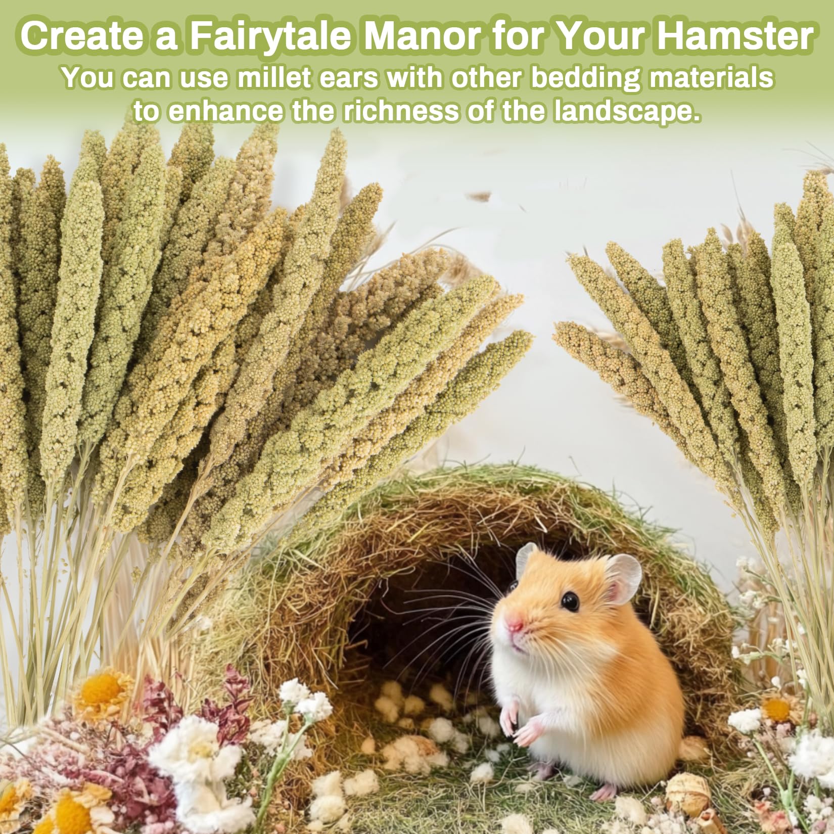 Sukh accessoire-habitat-petit-animal : complément pratique et polyvalent pour l aménagement.