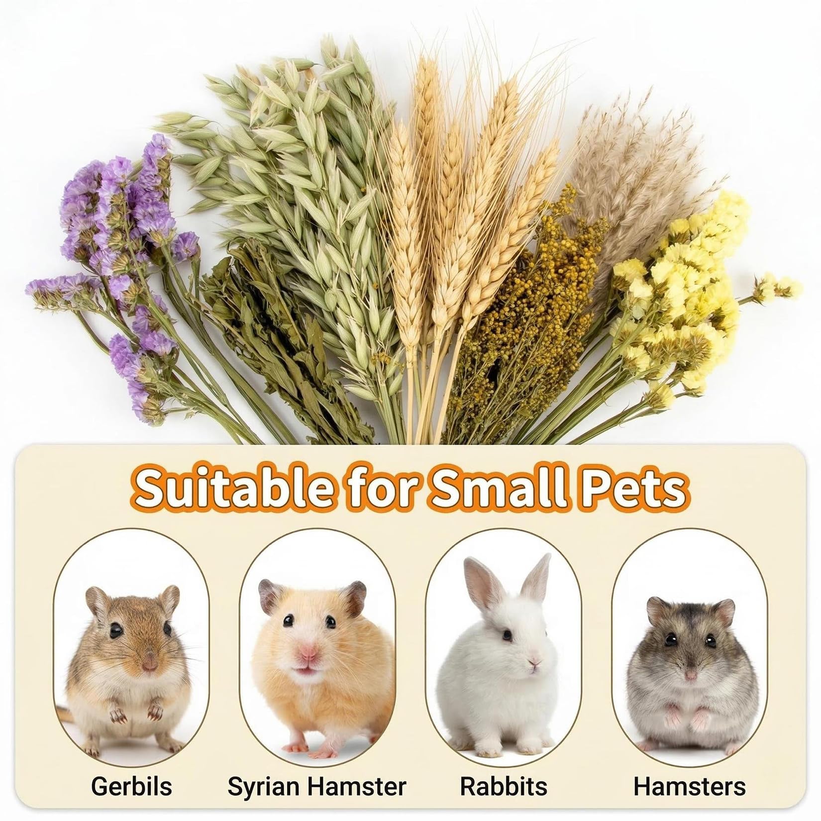Accessoire naturel pour petits animaux dans une cage.