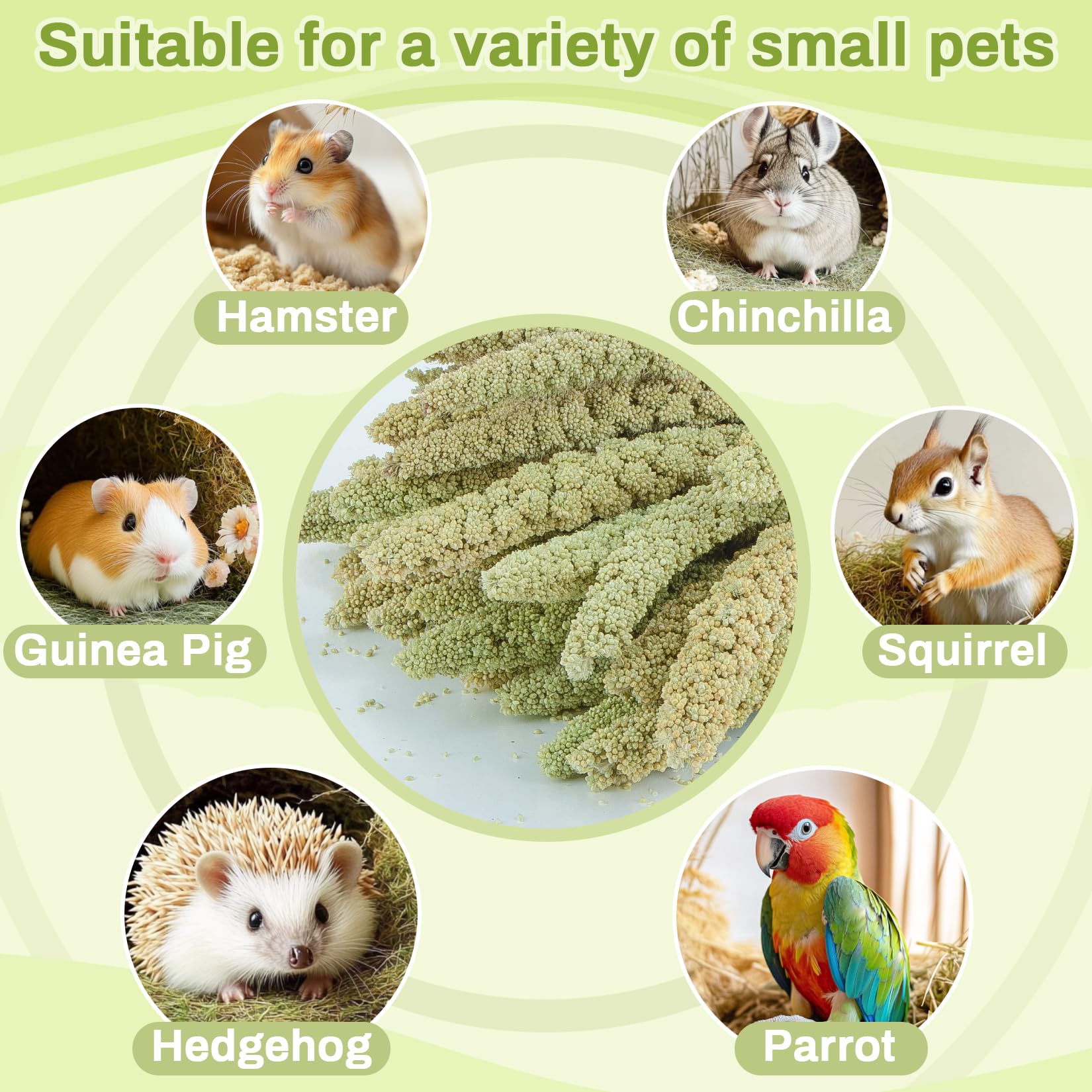 Sukh bricolage-habitat-hamster-oiseaux : idéal pour projets faits maison et réutilisation décorative.