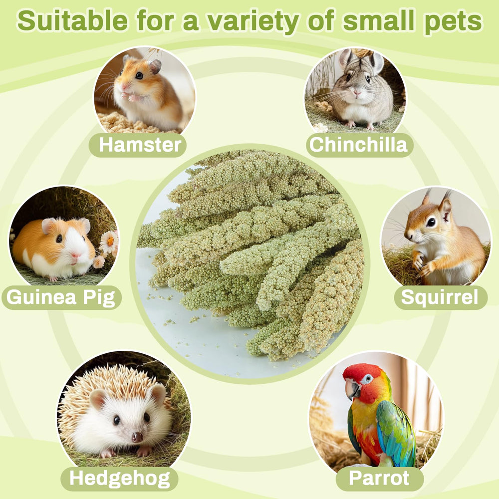 Sukh bricolage-habitat-hamster-oiseaux : idéal pour projets faits maison et réutilisation décorative.