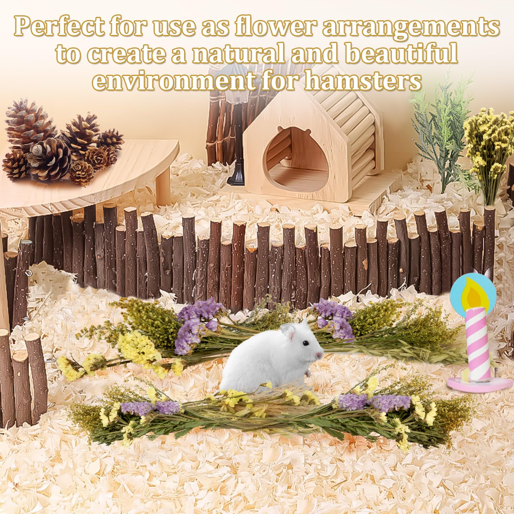 Cadeau naturel pour hamster et petits animaux.