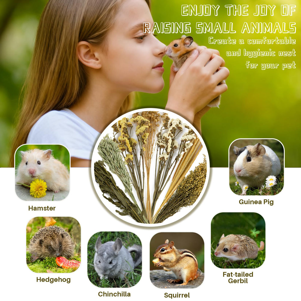 Ensemble végétal Sukh 47Pcs, pour petits animaux variés, enrichissement naturel.