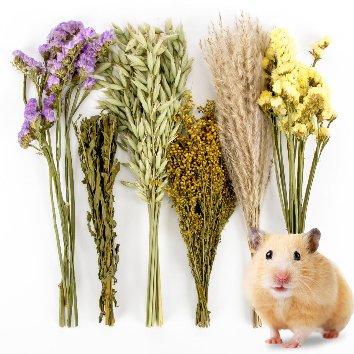 Sukh fleurs sèchées pour le nid du hamster, ambiance naturelle.