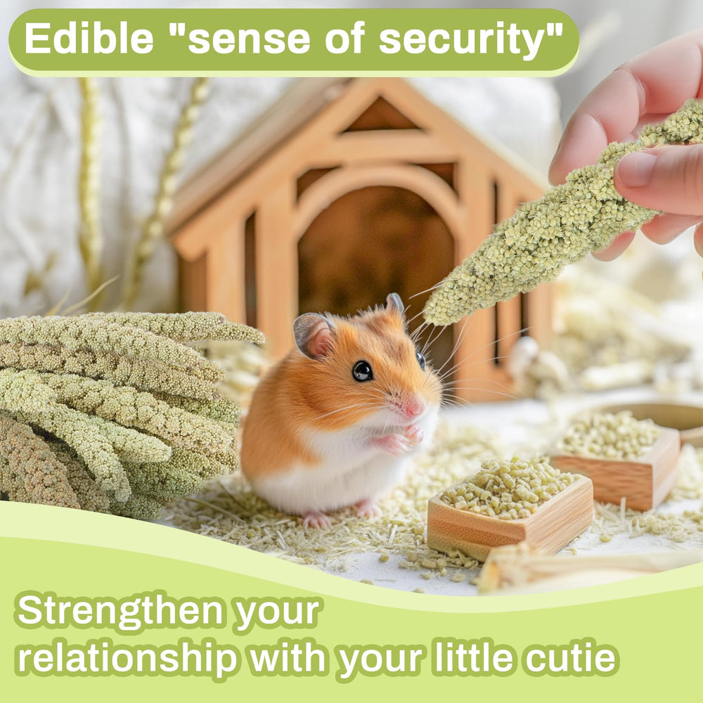 Sukh habitat-hamster-decoration-dynamique : crée un paysage varié et facile à entretenir.