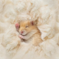 Sukh kapok chat, dodo doux, nids confortables pour chats