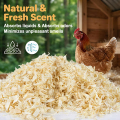 Litière Sukh absorbante pour poulailler, copeaux de peuplier sans additifs.