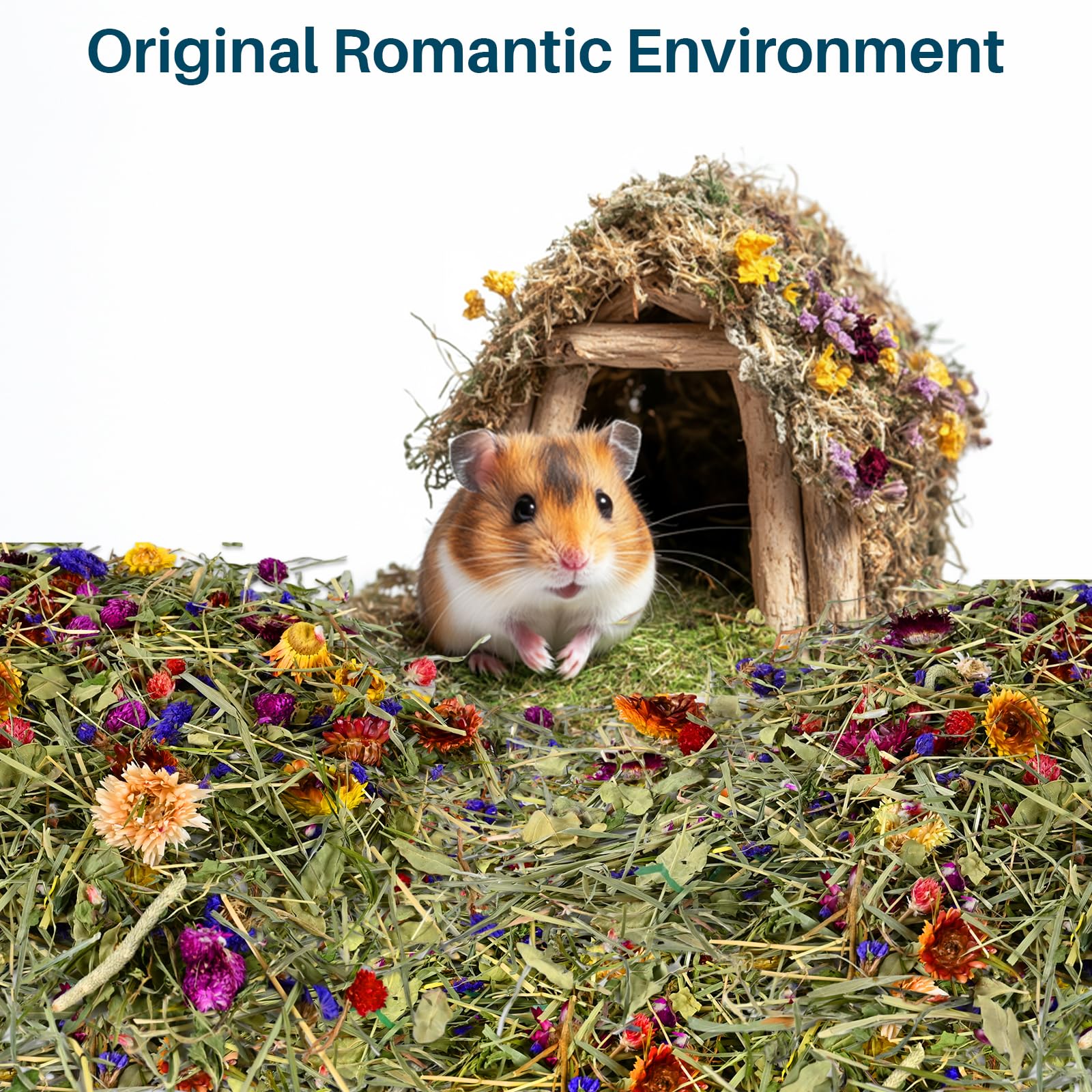 Litière Sukh Hamster aide à maîtriser les odeurs dans l'habitat.