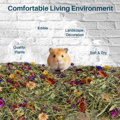 Litière Sukh Hamster texture douce et sèche, habitat confortable.