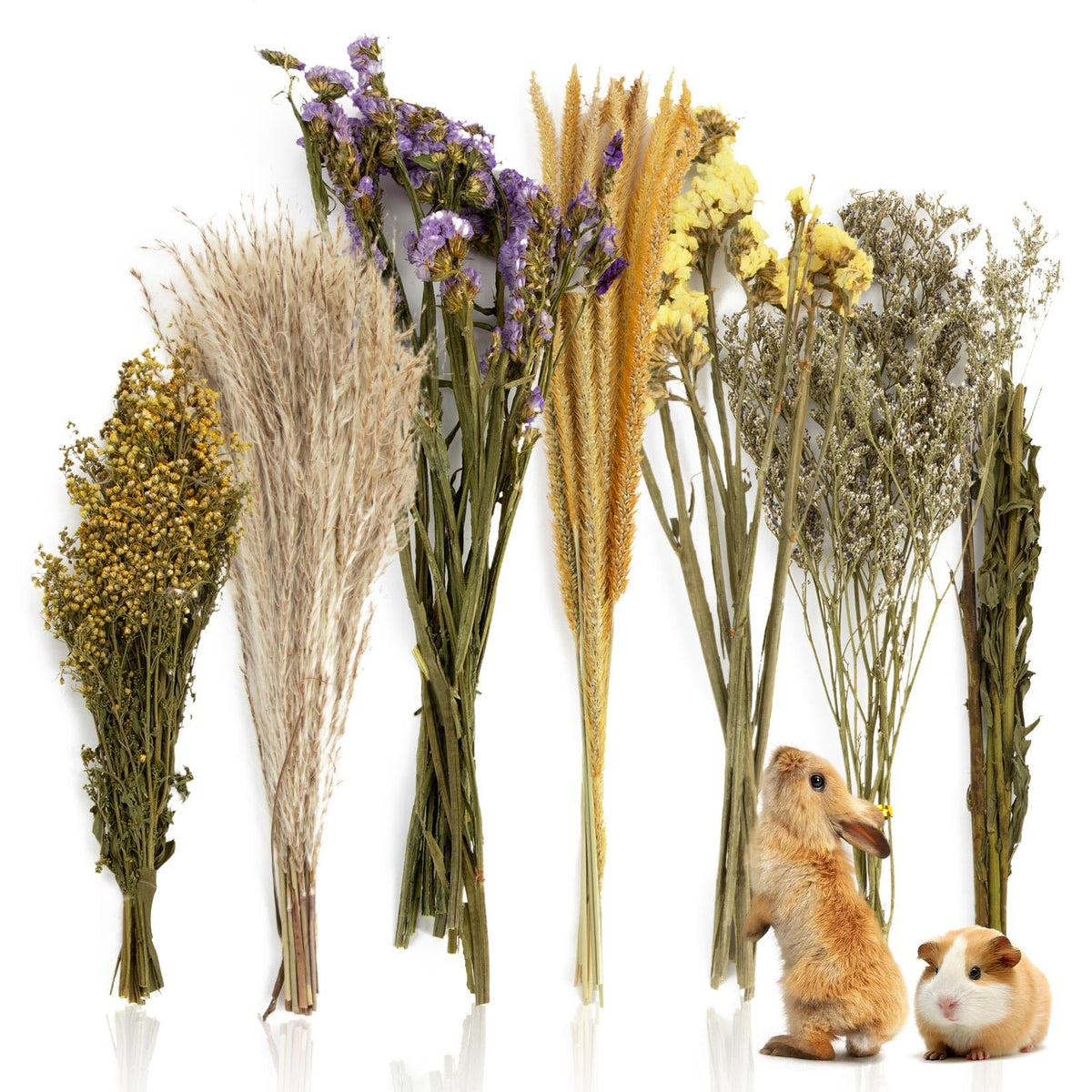 Sukh mélanges floraux séchés pour hamster, favorise l'exploration en douceur