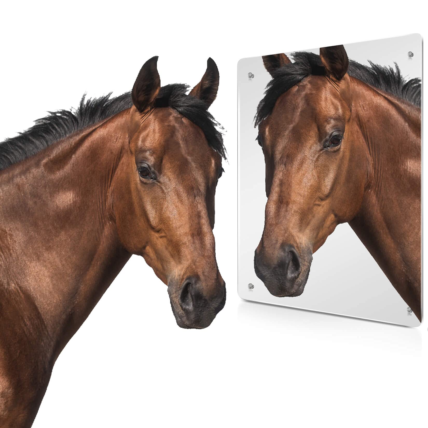 Dimensions 43 x 33 cm du miroir Sukh pour box.