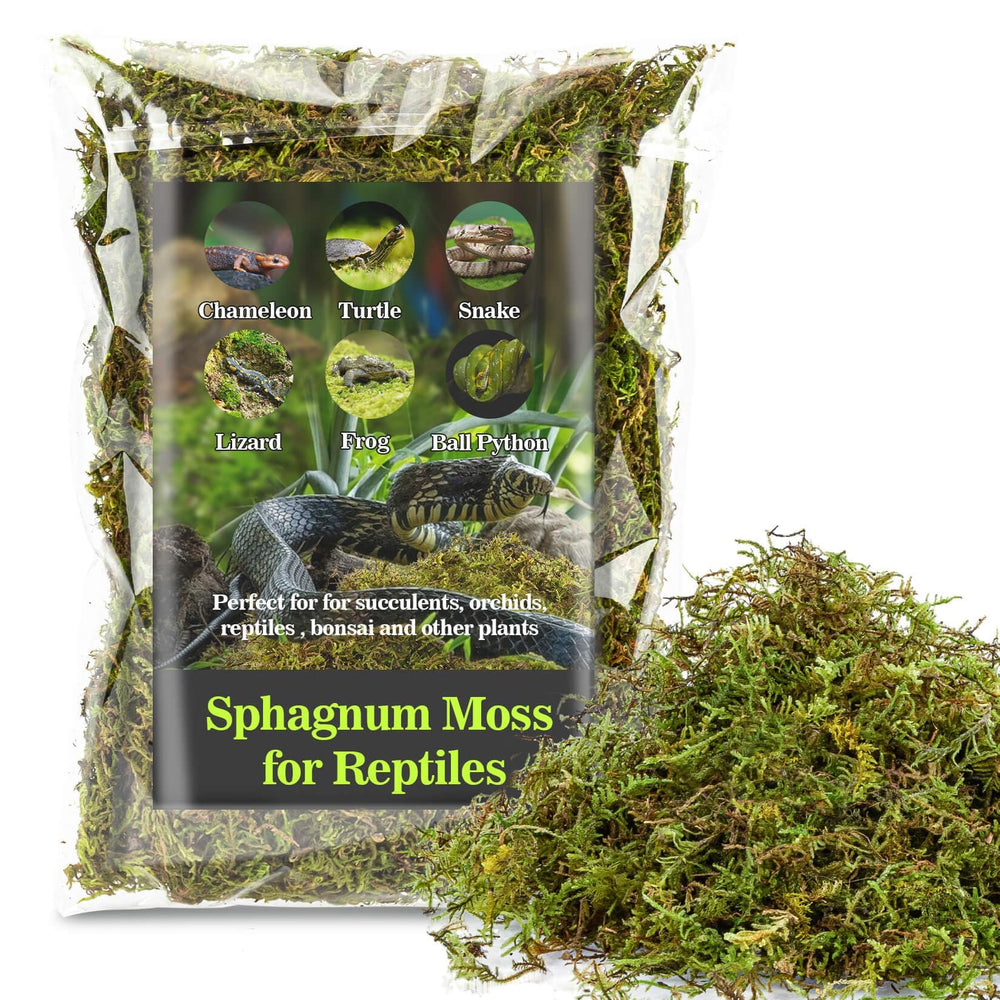 Mousse Sukh pour humidité stable dans le terrarium et reptiles.