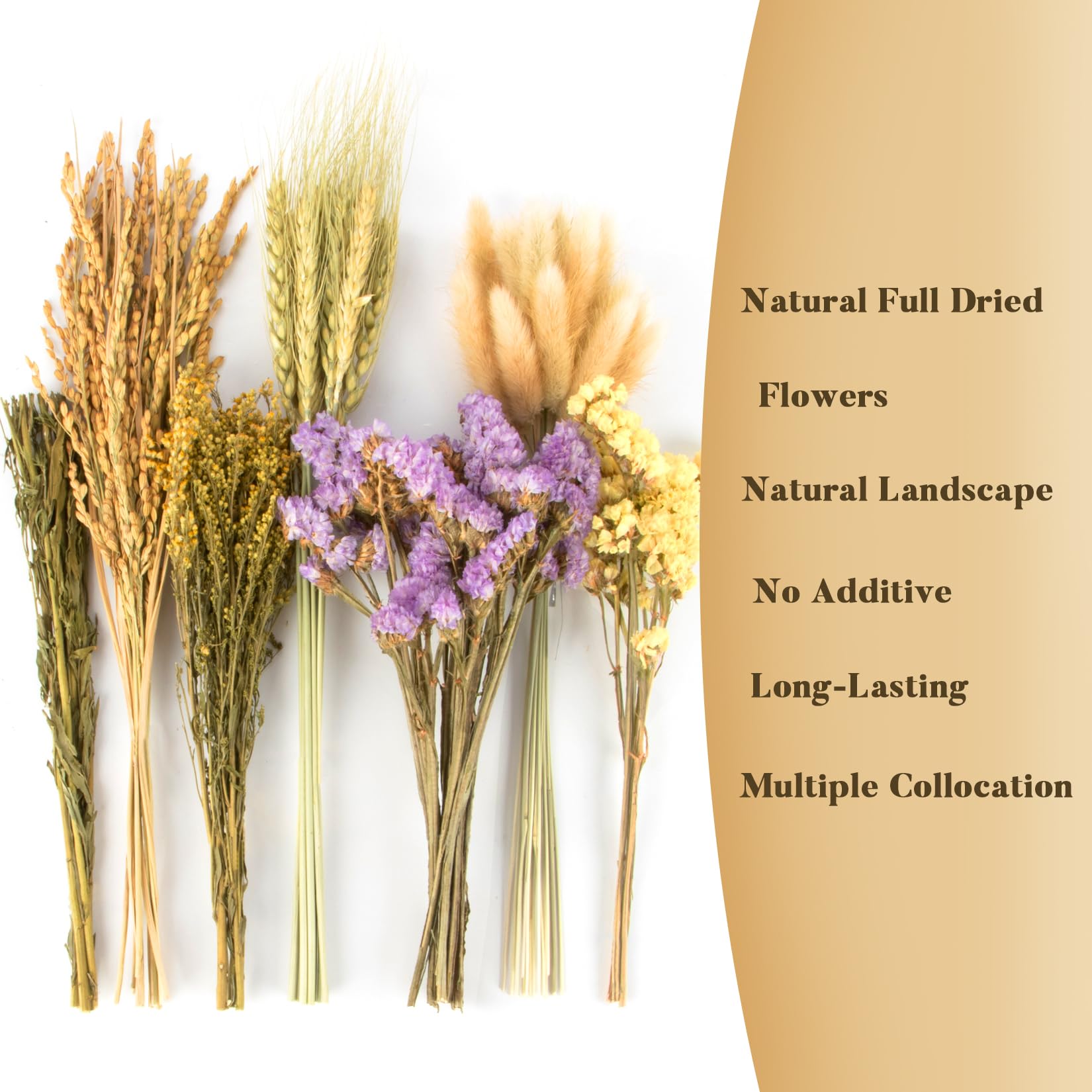 Sukh nid décoration herbes petits animaux, décor naturel et stimulant
