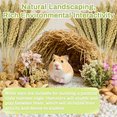 Sukh nid-naturel-hamster : élément décoratif polyvalent pour petits animaux.
