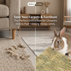 Le tapis d’herbe Sukh pour petits animaux, douceur et repos.