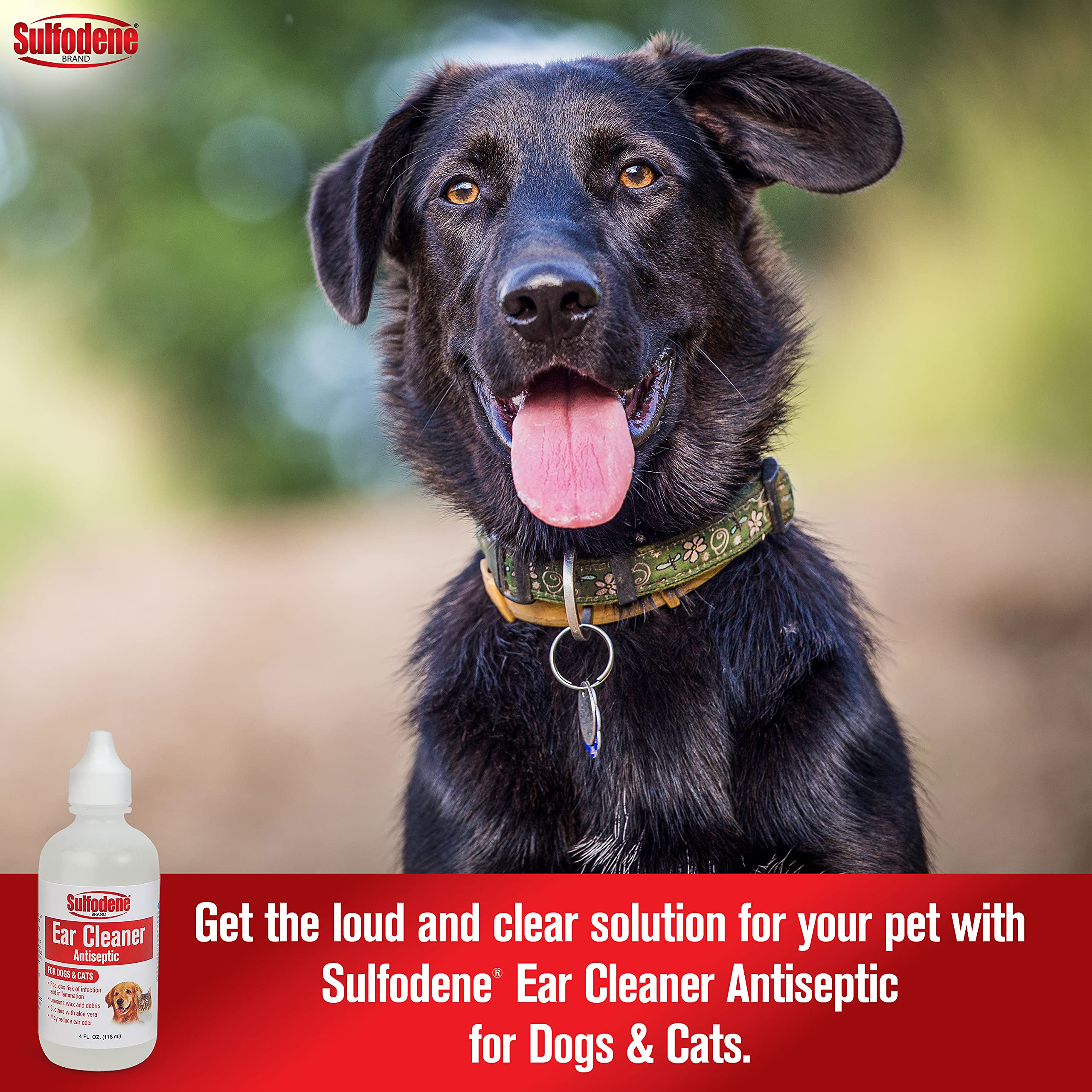 Sulfodene Nettoyant Oreilles : application simple chez le chien pour une routine rapide.