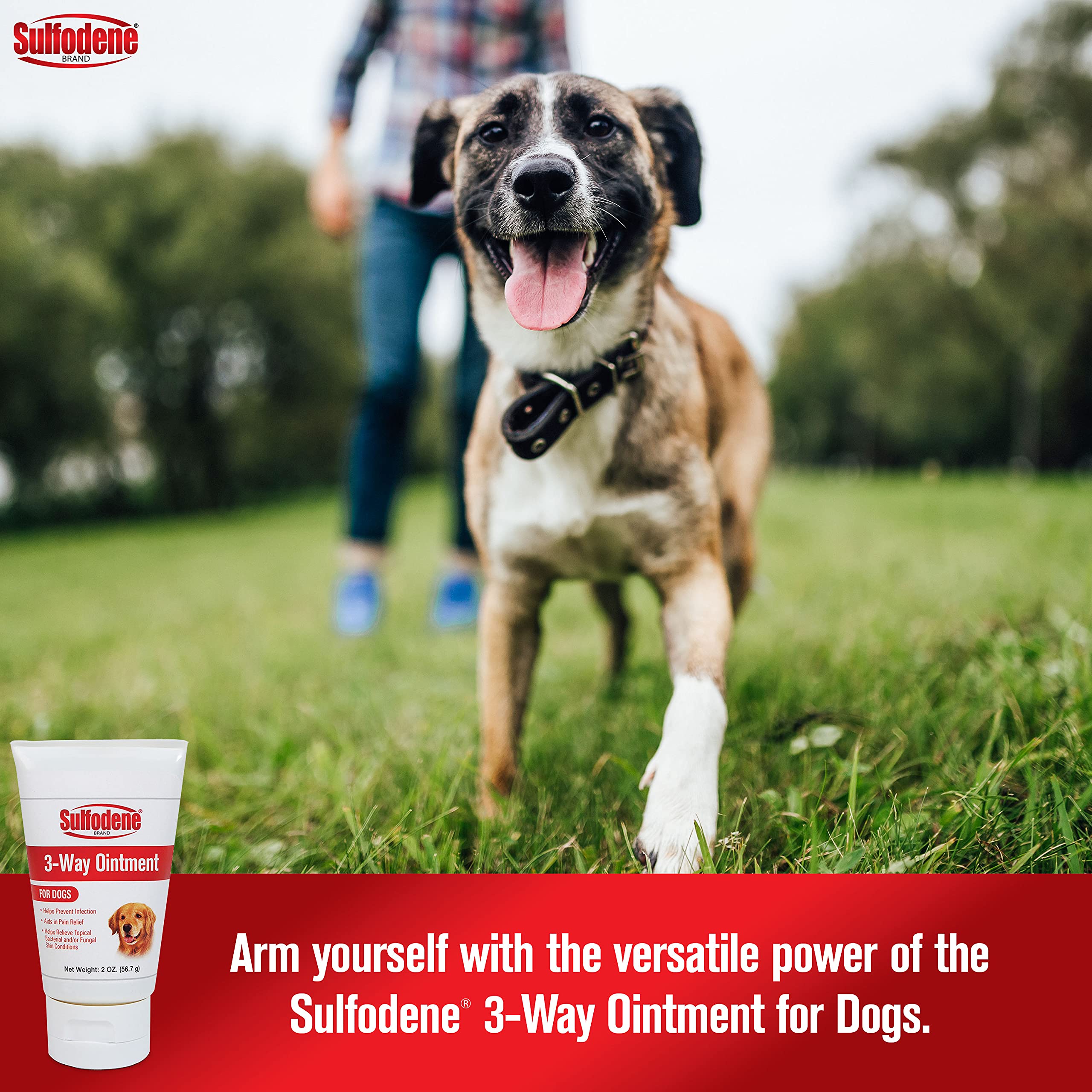 Applicateur Sulfodene 3 Voies – application sur plaie canine et soin.