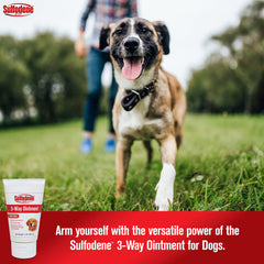 Applicateur Sulfodene 3 Voies – application sur plaie canine et soin.