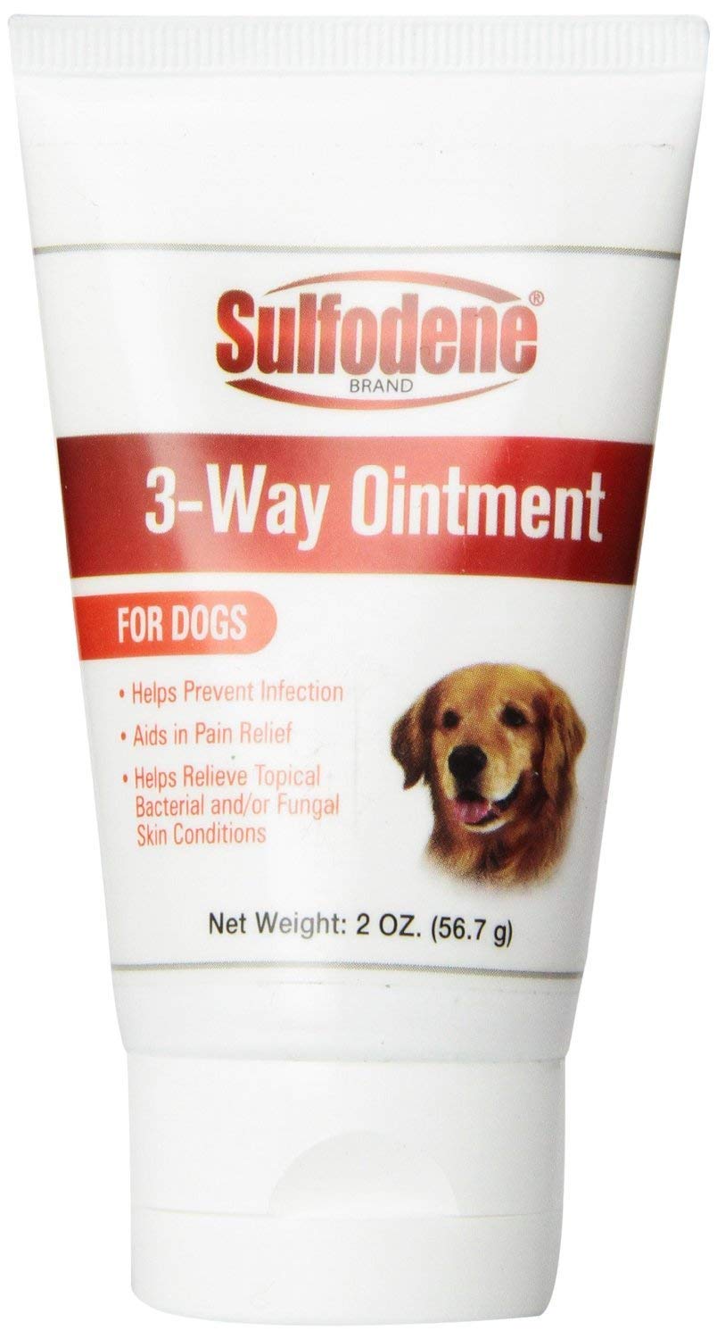 Sulfodene Pommade Trois Voies appliquée sur peau de chien, aide potentielle pour irritations.