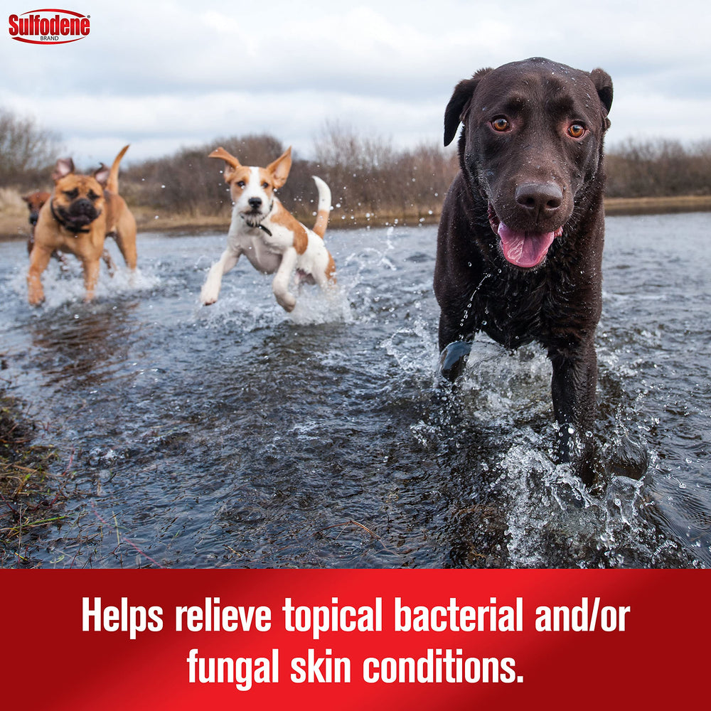 Sulfodene – soin externe pour irritations et abrasions chez le chien.