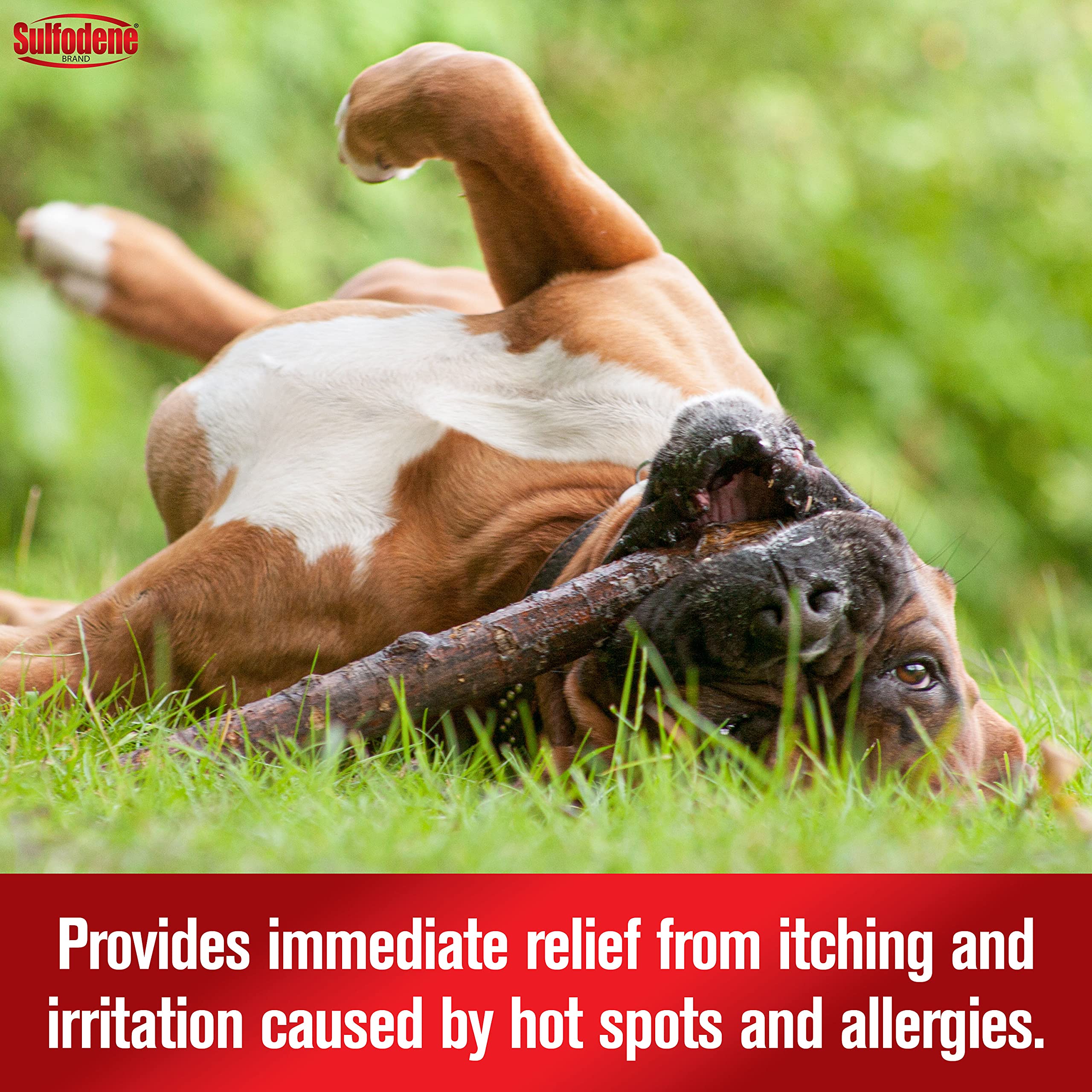 Sulfodene Spray permet une application facile sur les zones affectées du chien.