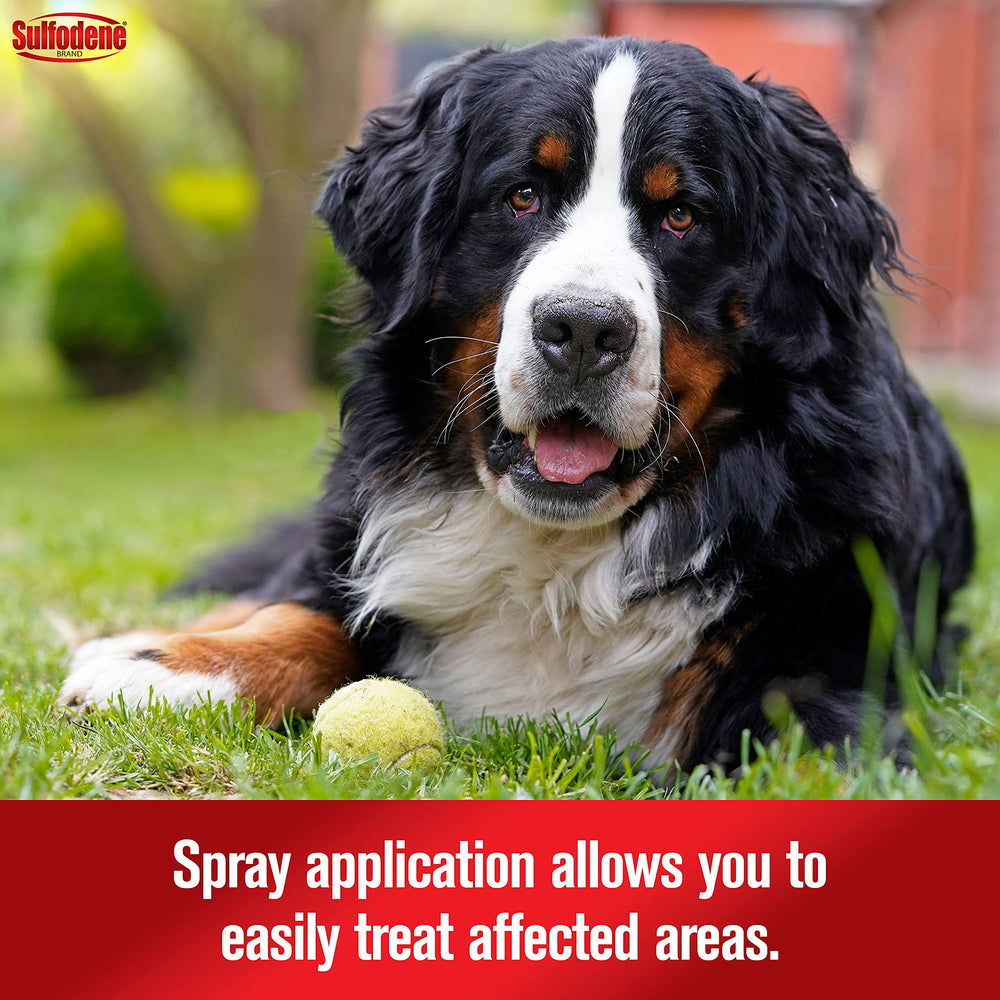 Sulfodene Spray offre une hydratation douce pour la peau sensible du chien.