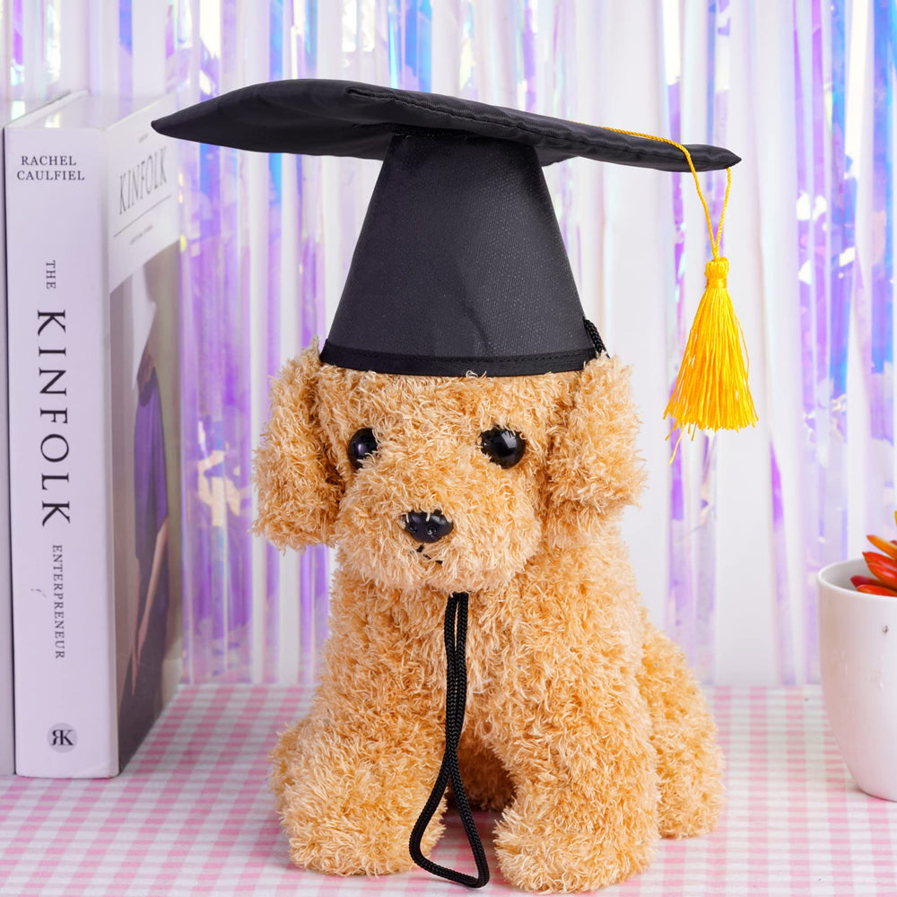 Accessoire SUMERSHA pour fêtes et graduation, élégant et festif.