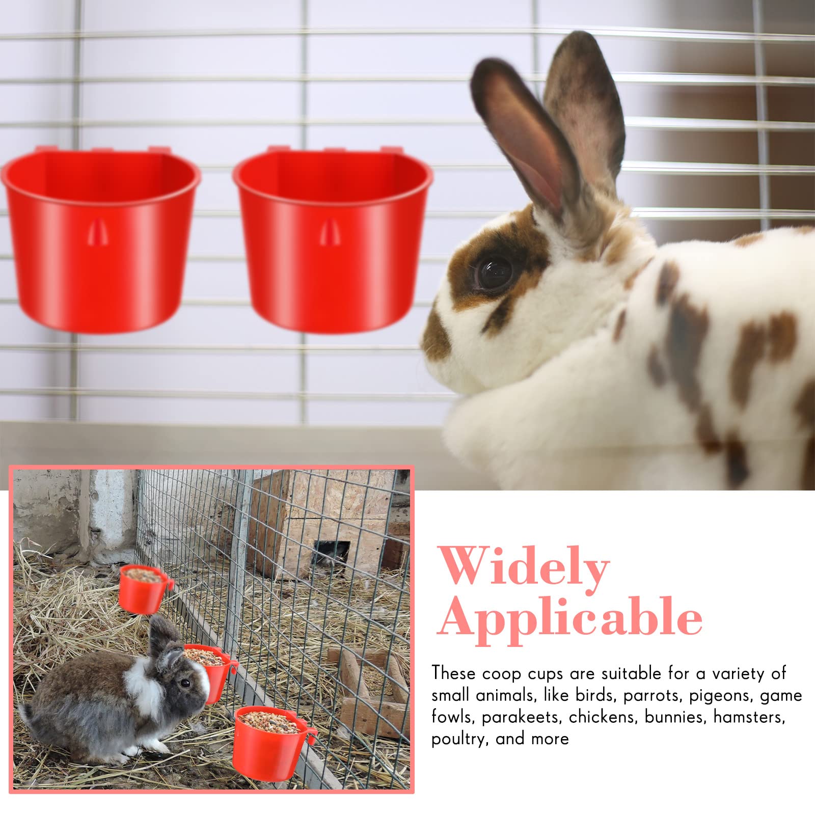 Sumind accessoire pratique pour nourrir ou abreuver oiseaux et poulets.