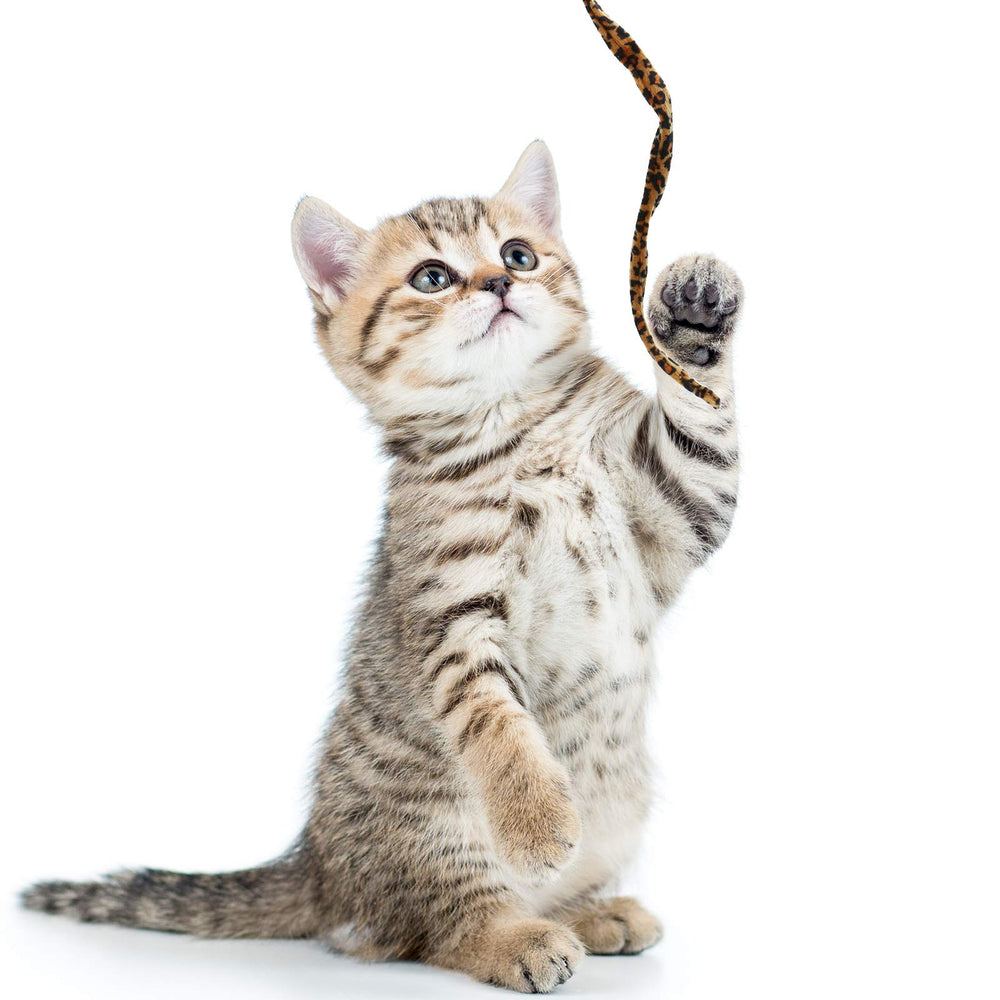 Sumind idéal comme cadeau chat-anniversaire, bon pour l’éveil et le jeu.