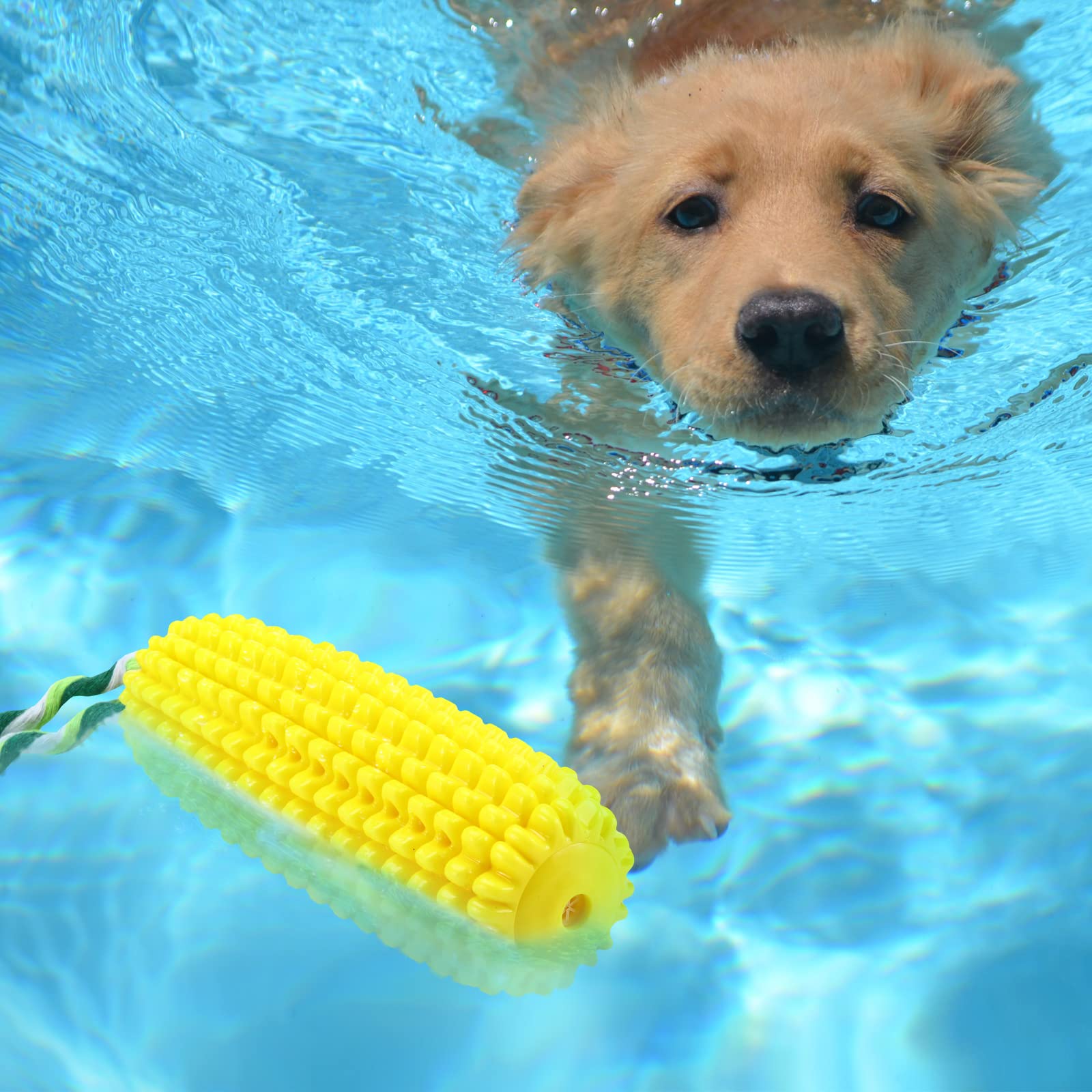 Sumind - jouet chien sifflet, attirer l’attention pendant le jeu.