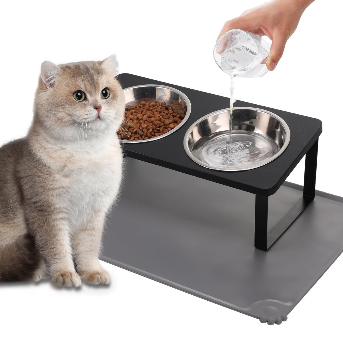 Bol Summark surélevé 15° pour repas de chat, confort possible.