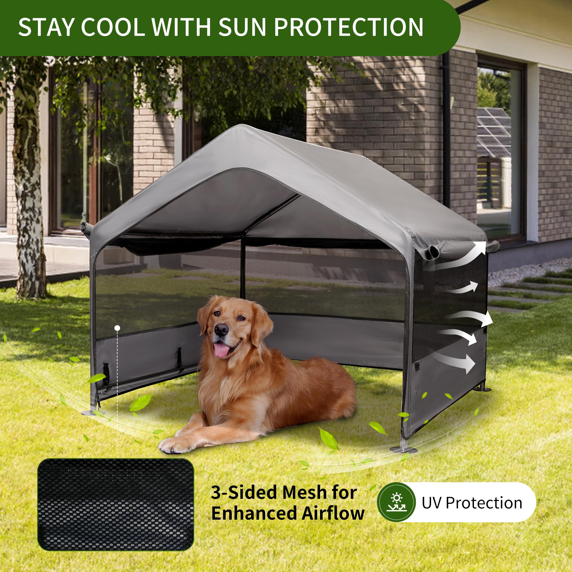 Summertrail abri grand chien avec mesh trois côtés pour ventilation efficace.