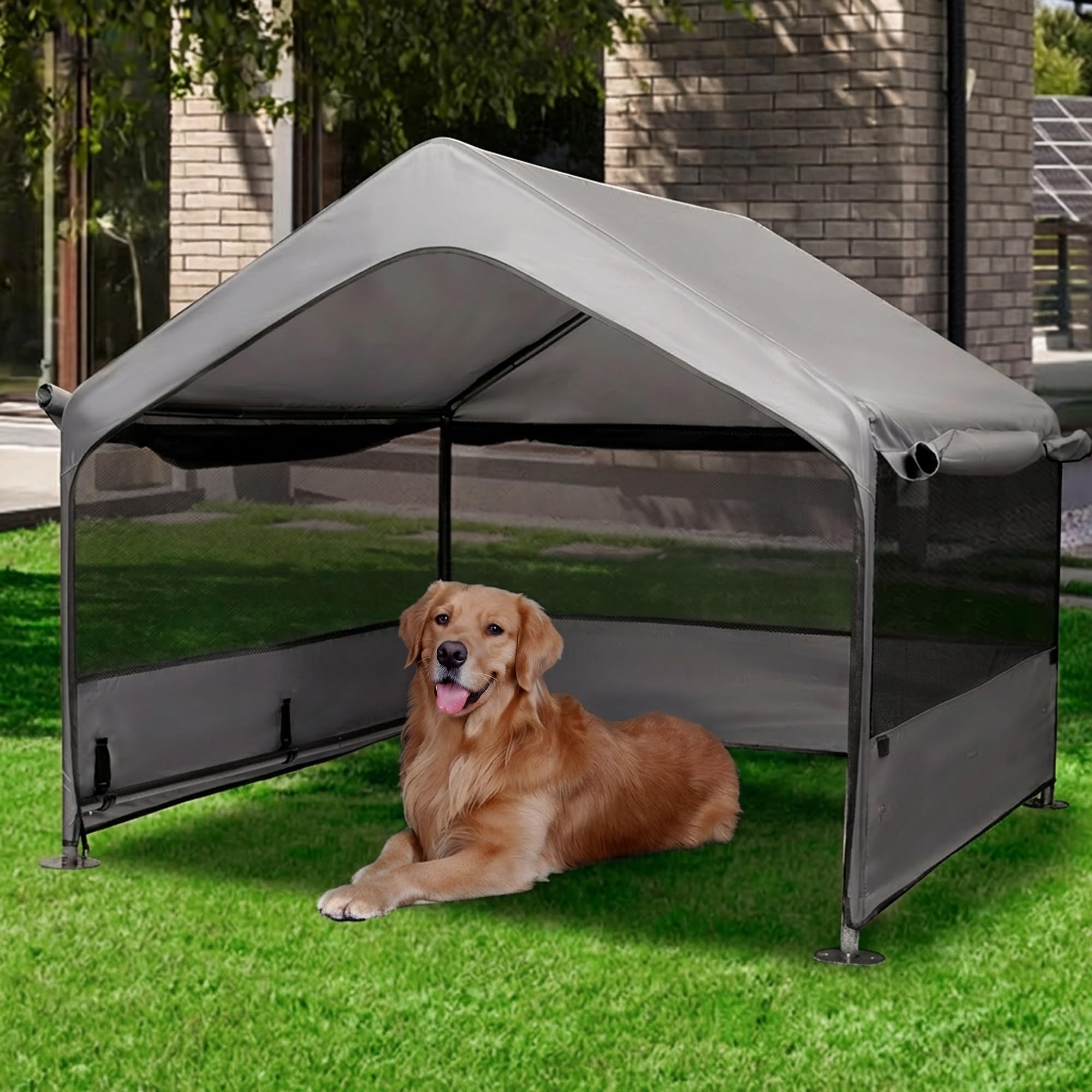 Summertrail maison-chien exterieure 4x4 offre abri sûr et frais.