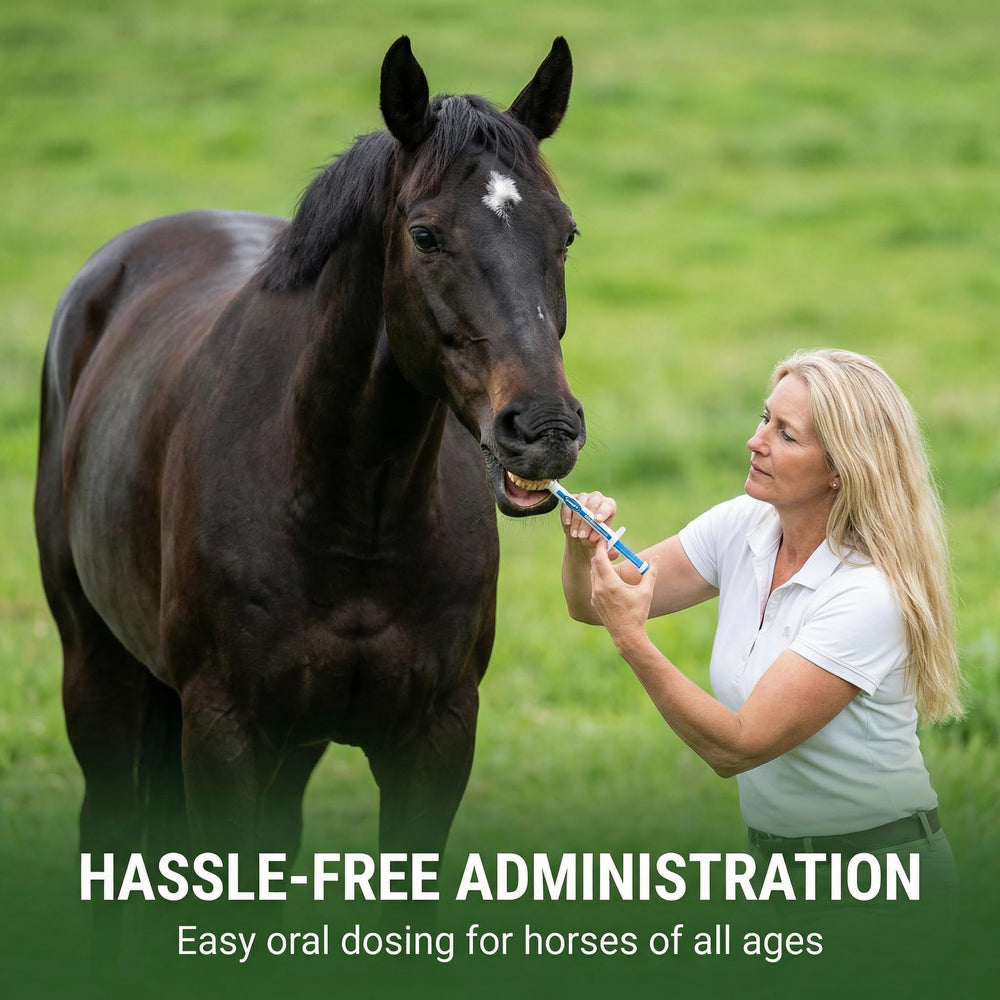 SUMOT Pâte ivermectine cheval saveur pomme – dose graduations pour cheval jusqu'à 1250 lb