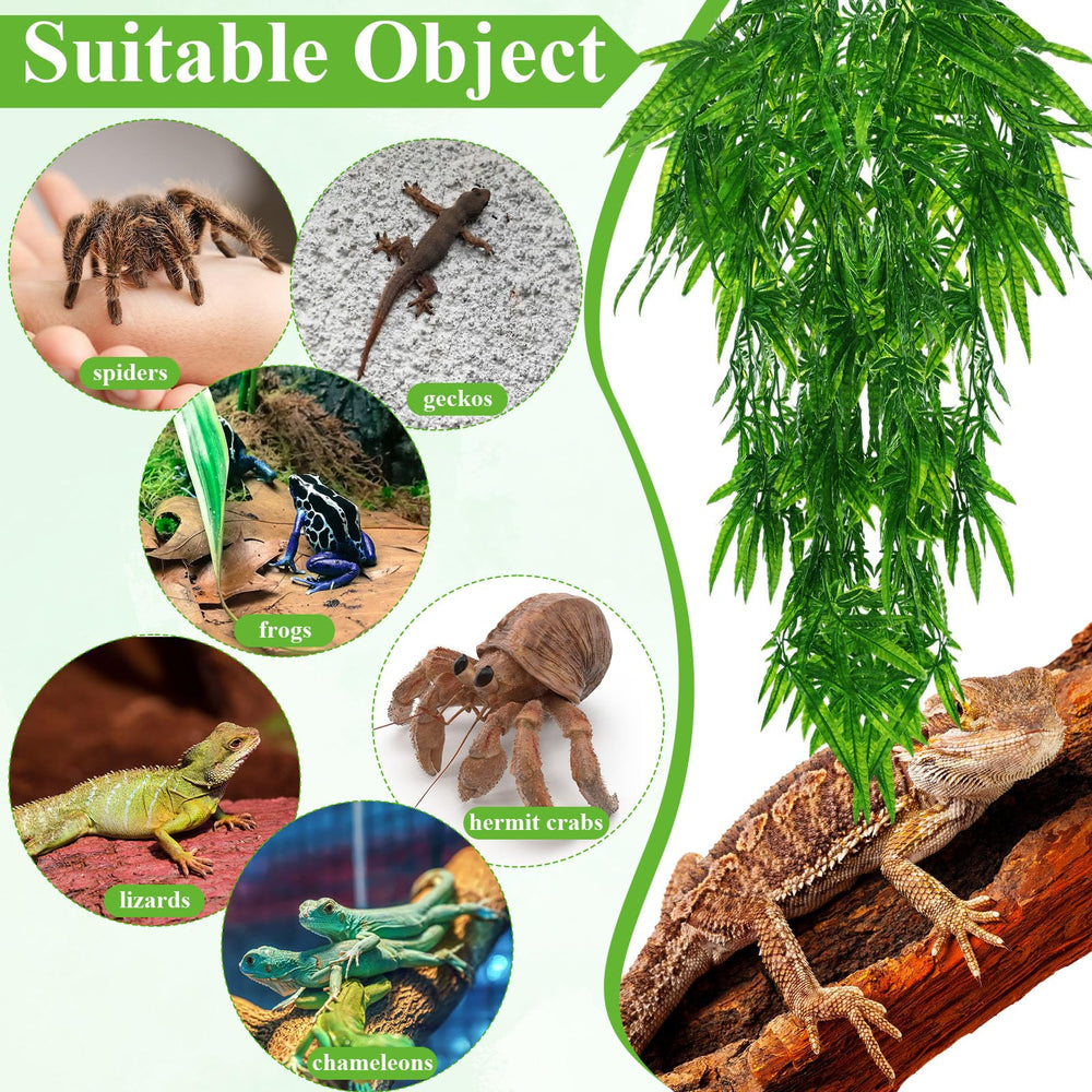 Suncalla installation simple des plantes reptile pour terrarium