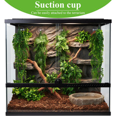 Suncalla nettoyage rapide des plantes reptile pour entretien facile