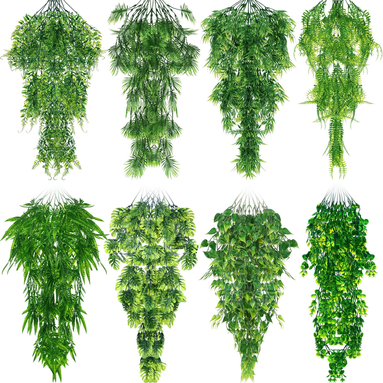 Suncalla plantes reptile vignes suspendues pour decor terrarium naturel