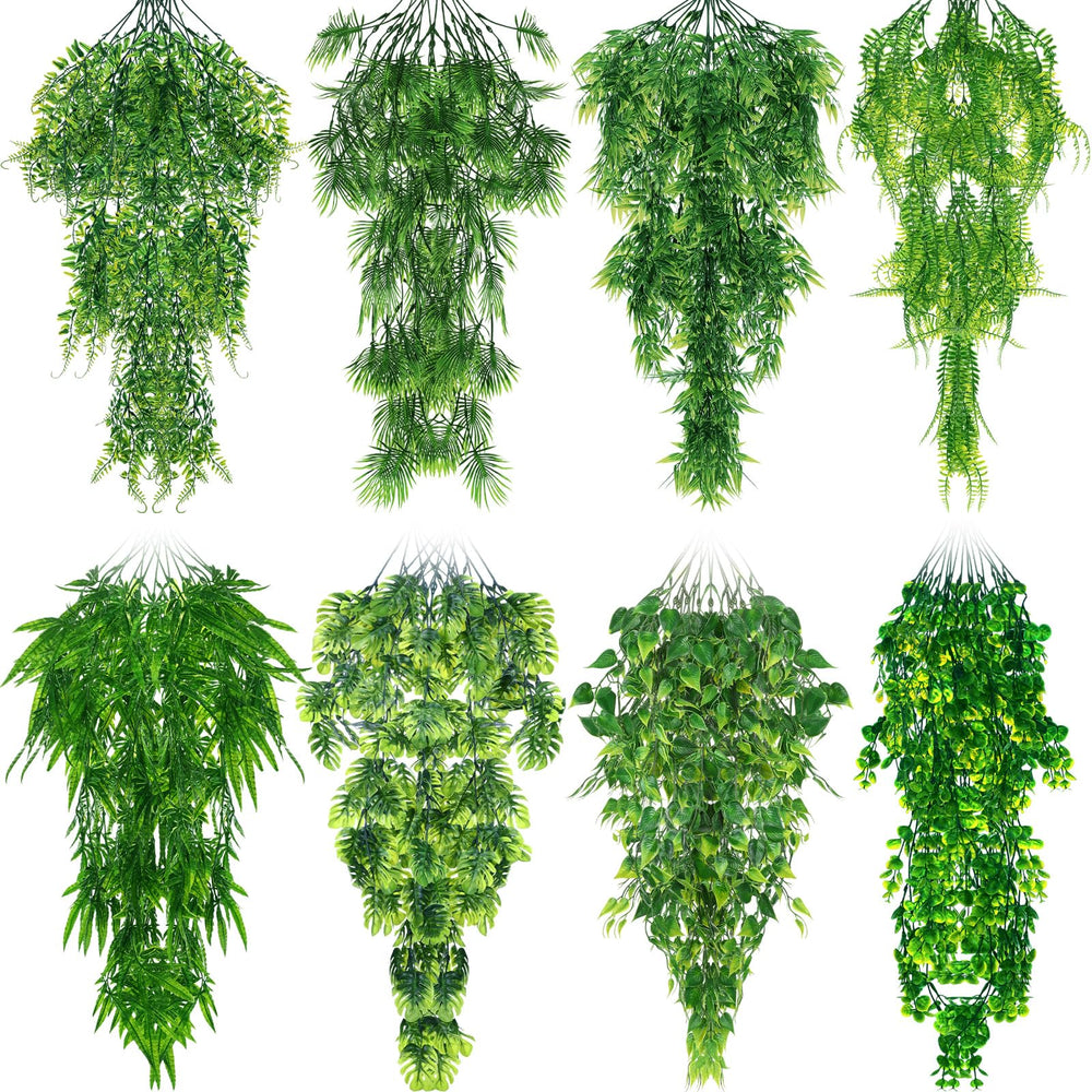 Suncalla plantes reptile vignes suspendues pour decor terrarium naturel