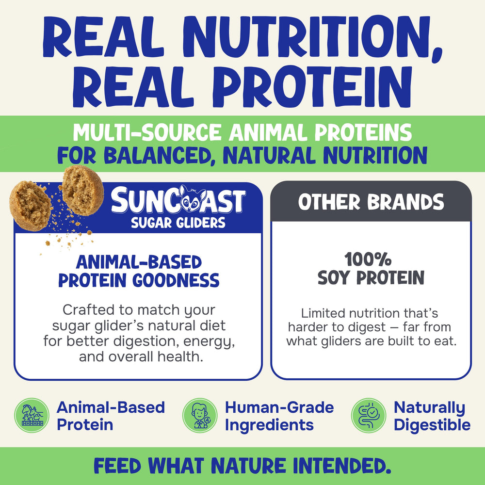 Suncoast Happy Glider Food, coût-efficace et nutrition complète pour petits animaux exotiques.