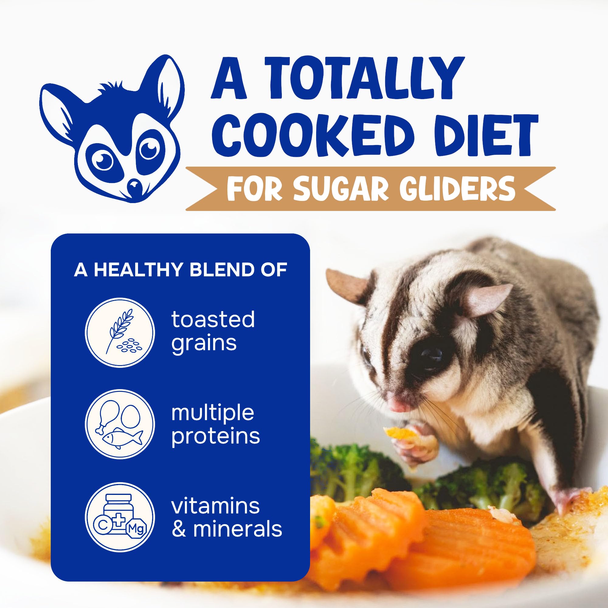 Suncoast Sugar Gliders: ingrédients poulet et œuf pour nutrition lisible.