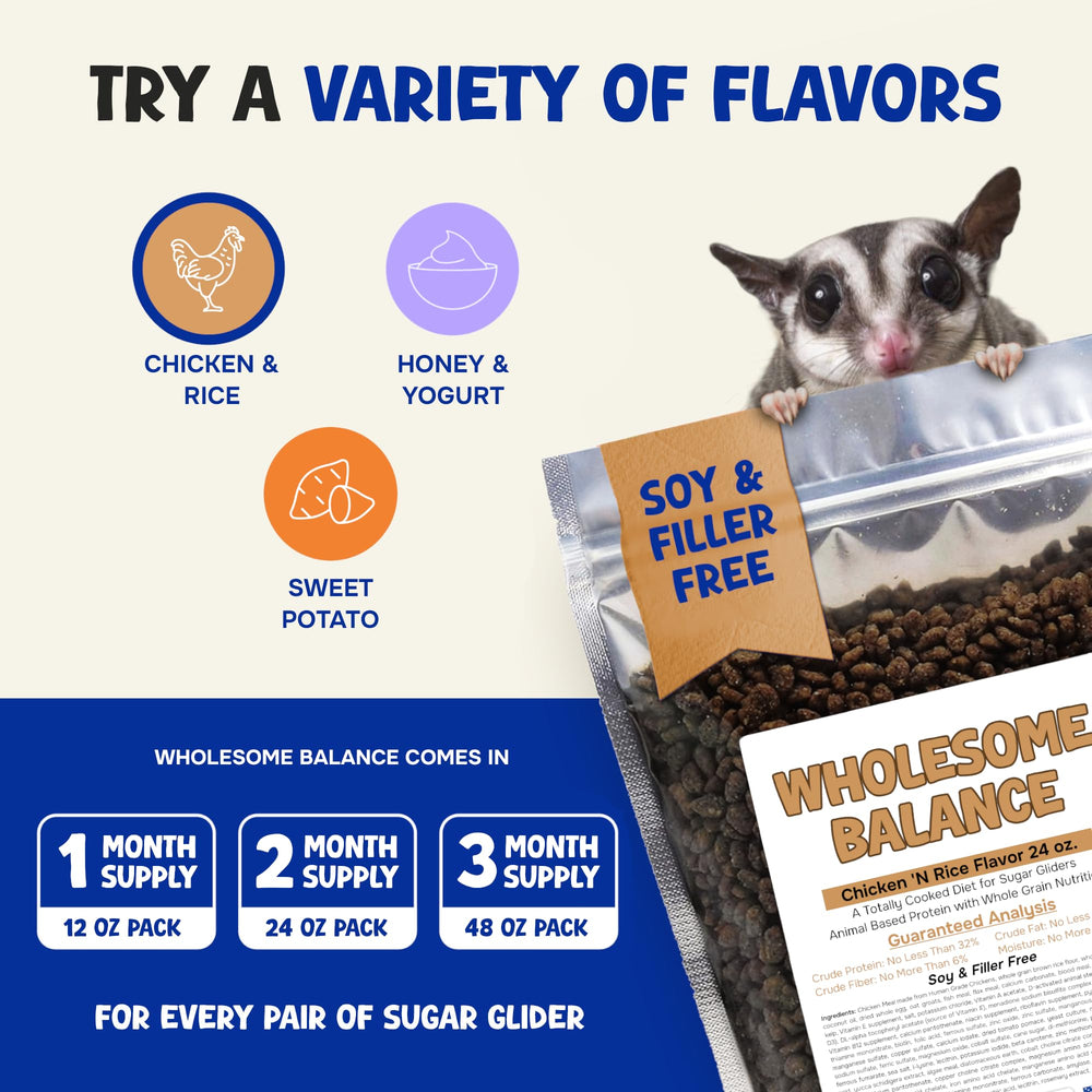 Suncoast Sugar Gliders: utilisation quotidienne simple avec fruits et légumes frais.