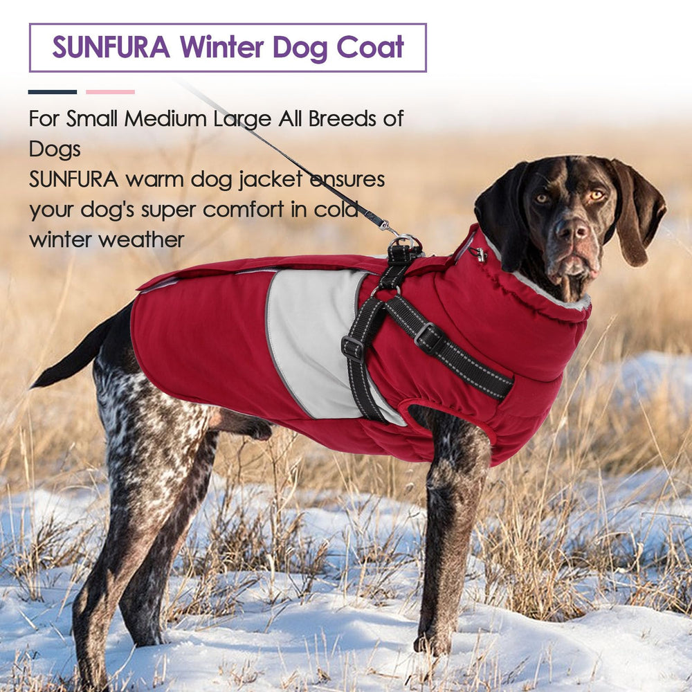 SUNFURA manteau hivernal pour chiens avec matière chaleureuse et légère.