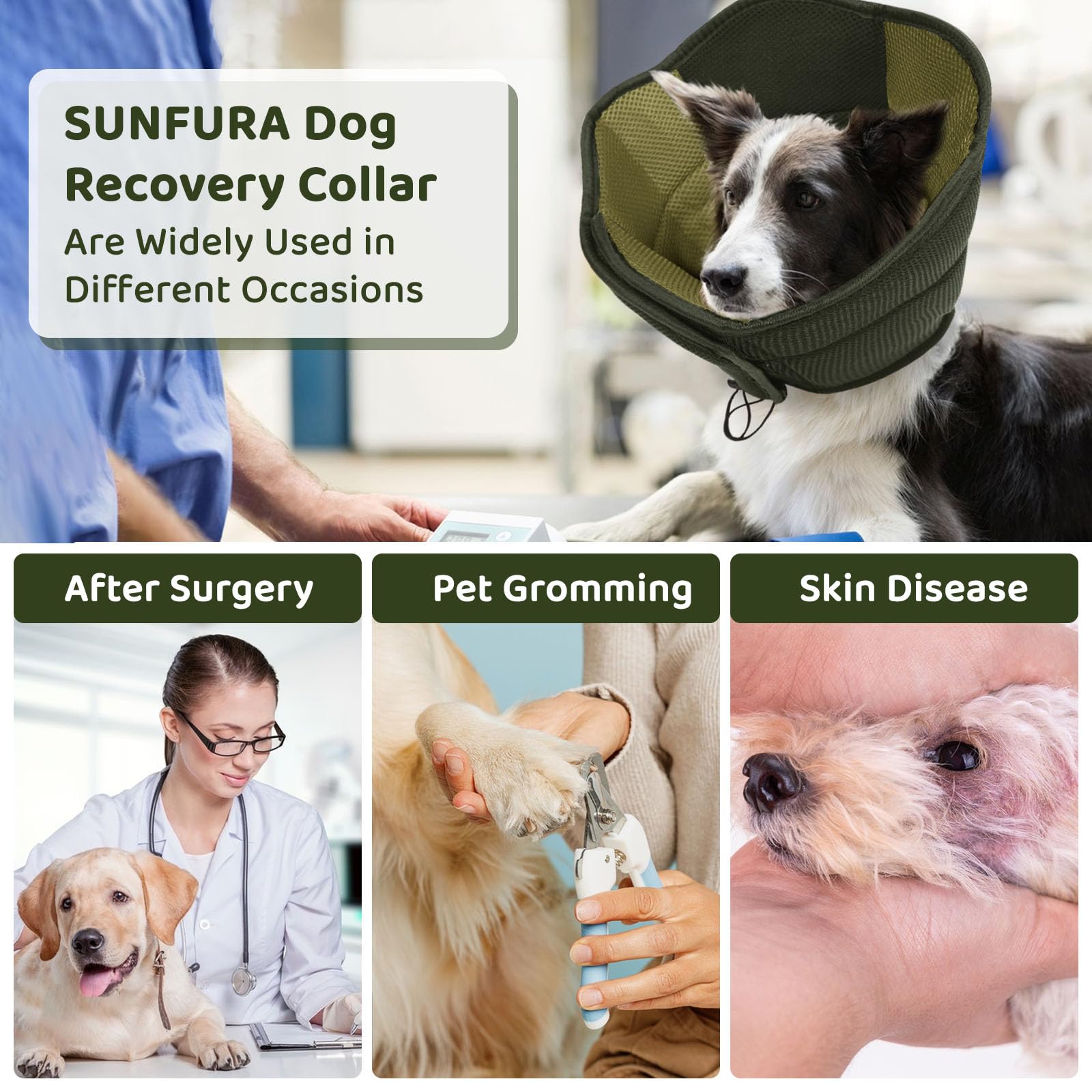 SUNFURA cône adaptable à toutes les races canines offre confort et protection