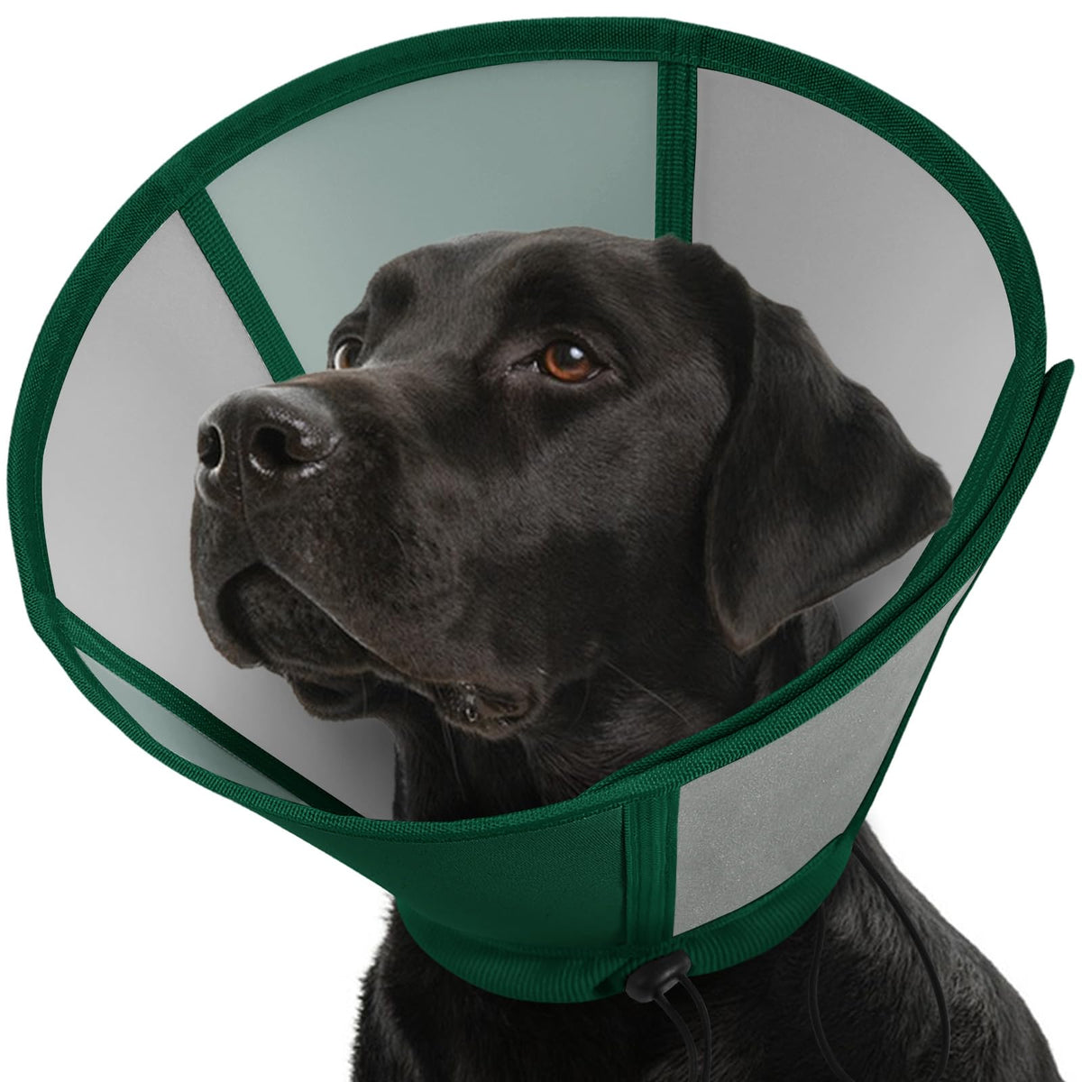 SUNFURA cone pour chien grand et doux en néoprène, confort pendant la récupération.