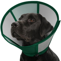 SUNFURA cone pour chien grand et doux en néoprène, confort pendant la récupération.