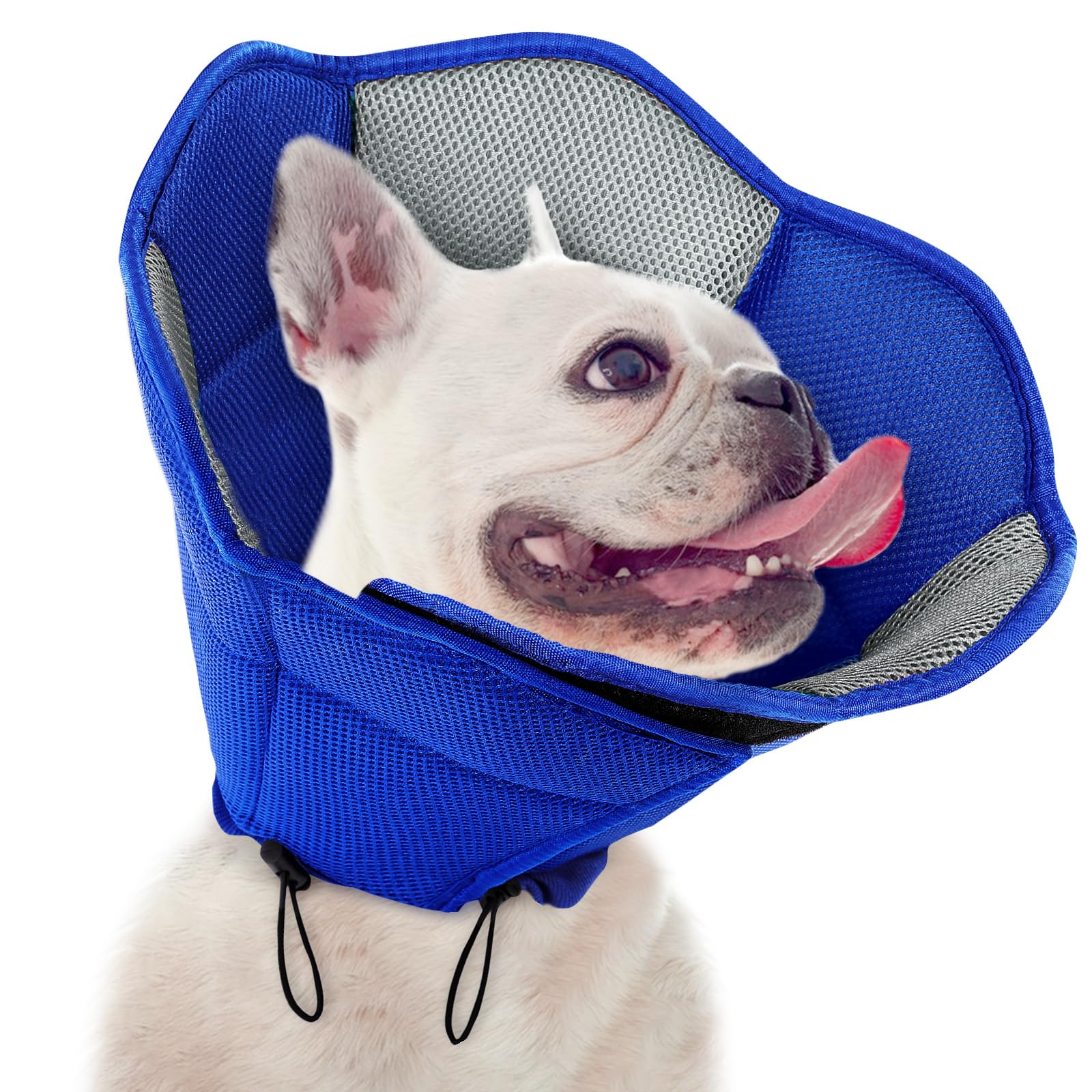SUNFURA cone doux chien bleu – confort autour du cou pour une récupération en douceur