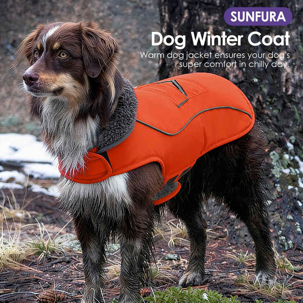 SUNFURA gilet chien hiver bandes réfléchissantes pour meilleure visibilité