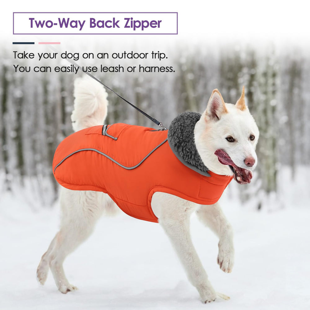 SUNFURA gilet chien hiver porte-exterieur avec chien