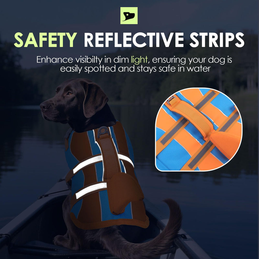SUNFURA gilet sauvetage chien, anneaux D et détails pour marcher près de l’eau.