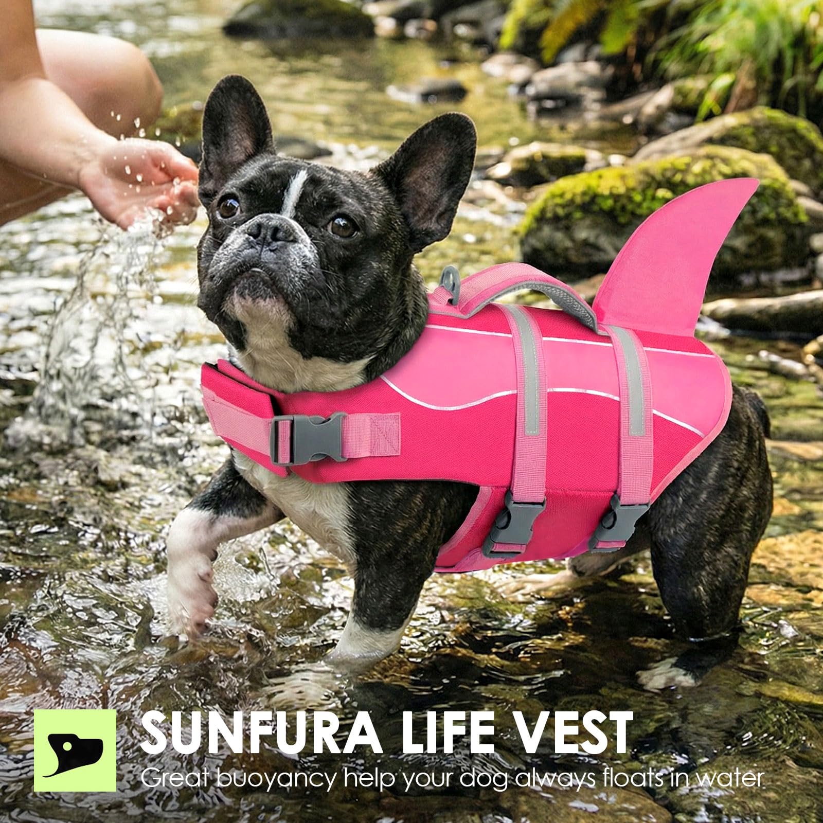 SUNFURA gilet sauvetage chien securite pendant les activites nautiques quotidiennes.